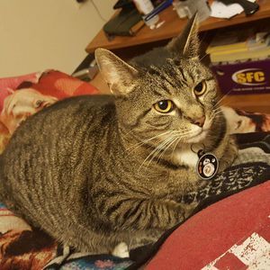 Meet your Posher, Kesha